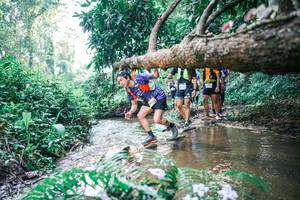 BIB: 
                            <button type="button" onclick="openModal(25455384)" class="btn btn-primary btn-sm float-right btn-popup" data-toggle="modal" data-target=".modal-high-quality">
                        <i class="fas fa-shopping-cart"></i> Add to Cart
                    </button>
                                            <button type="button" onclick="isThisMe(25455384, true)" class="btn btn-success btn-sm float-right btn-popup btn-isme hidden" data-toggle="tooltip" data-placement="bottom" title="นี่คือรูปของคุณใช่ไหม คลิกที่นี่เพื่อเอาเข้าอัลบั้ม">
                        <i class="fas fa-plus"></i> Add to album
                    </button>
                    <button type="button" onclick="isThisMe(25455384, false)" class="btn btn-warning btn-sm float-right btn-popup btn-isnotme hidden">
                        <i class="fas fa-ban"></i> Remove from album
                    </button>